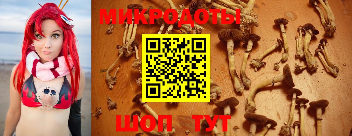 Галлюциногенные грибы ЛСД  Псилоцибиновые грибы Psilocybine cubensis  Туймазы  Вход с VPN 